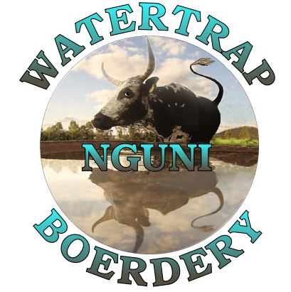 Watertrap Nguni's